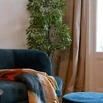 Holiday home Casiola - Authentic Townhouse Near The - Pets Welcome!